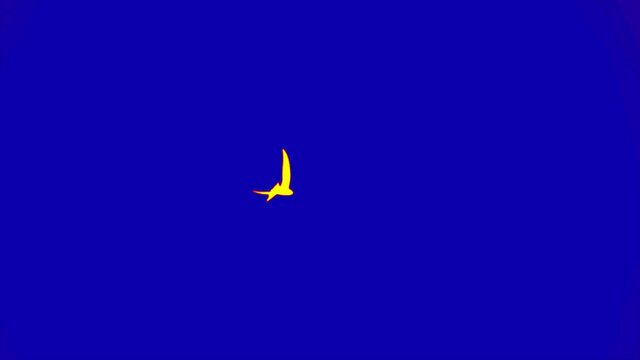 A black swift flies against the blue sky. Slow motion. This is an thermographic art video, clear colours - primary (spectral) colour