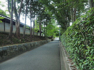 Obraz premium 路地