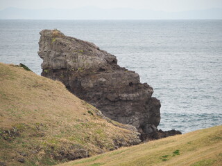 海を望むゴリラ岩