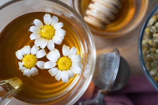 Chamomile infusion. Floral infusion without caffeine and fresh flowers. Photography of hot drinks