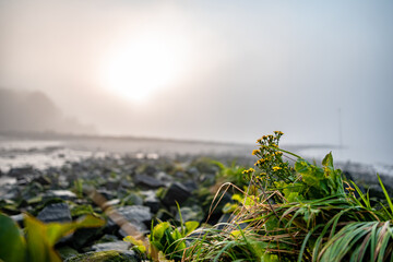 Sonnenaufgang am Wedeler Elbstrand (bei Hamburg)