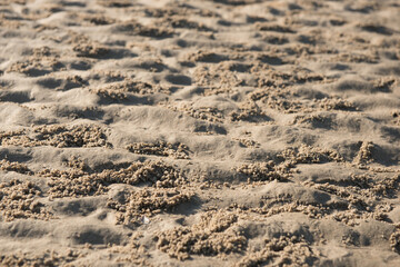A crab's hole on sand background and texture.Selective focus.