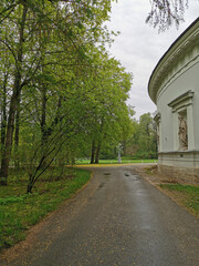  A deserted wet road among trees and a pavilion on a cloudy spring morning in a park on Elagin Island in St. Petersburg.