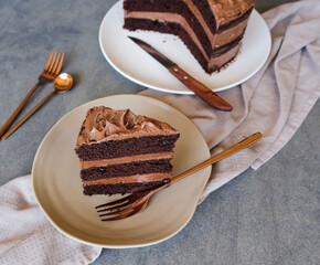Homemade tasty pastry / Frosted Dark Chocolate  Cake / Good snacks for nibbling between meals, party, birthday and happy occasion