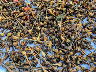 close up of a pile of dried chilli stalks.