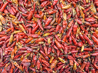 deied red hot chili peppers background 