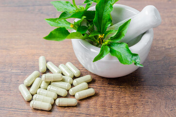 Pile of herbal medicine in capsules and ceramic mortar with green leaf.
