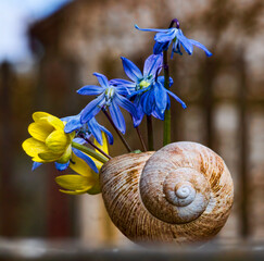 bouquet of yellow and blue flowers