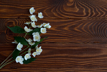 jasmine on a wooden table