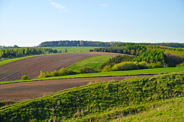 Fototapeta na wymiar Rural landscape nature fields and meadows