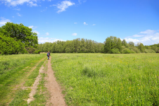 Hiking in Zeesen, federal state Brandenburg, Germany
