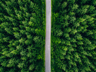 Aerial top view of road in green fir woods. Green forest with country road in Finland.