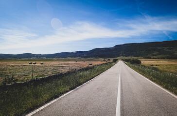 Road of Sardinia in Spring