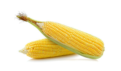 corn on white background