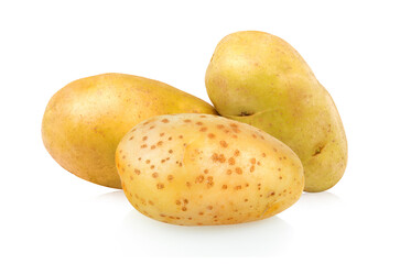 potato  on white background