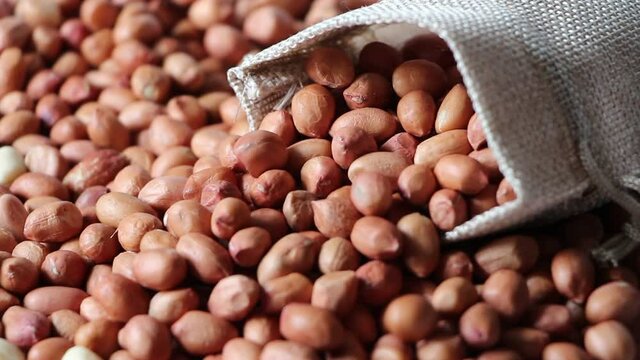 peanut isolate close up health food