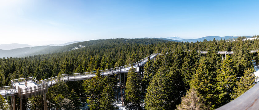 View of wooden bridge treetop Pohorje observation deck in winter.