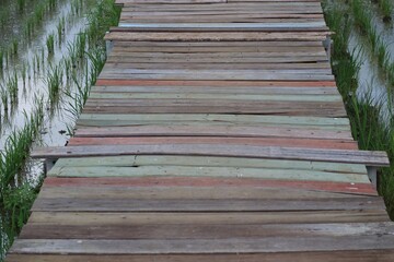 wooden bridge in the forest