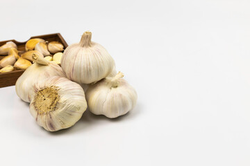 Fresh garlic on white background.