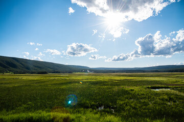 Yellowstone (late Summer)