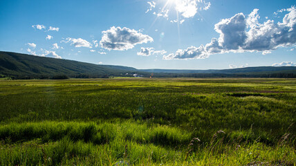 Yellowstone (late Summer)