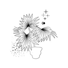 Obraz premium Line art black tropical potted house plant fan palm isolated on white background. Stock vector illustration.