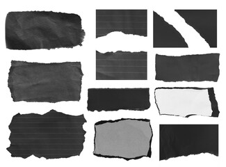collection of torn paper isolated on white background, copy space.