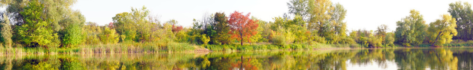 Obraz premium Panoramic view of the autumn forest with yellow and red foliage and a beautiful lake against the background of light sky