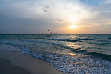 Fototapeta na wymiar sunrise in sea at miami beach with ship and seagulls on sunset sky background, beach sunset.