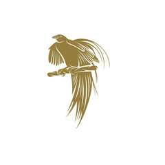 Birds of Paradise design vector illustration, Creative Birds of Paradise logo design concept template, symbols icons