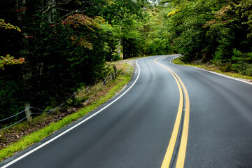 A winding narrow asphalt road in the forest.