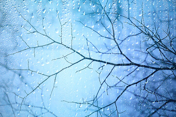wet glass view of branches park autumn, abstract background drops on the window evening november