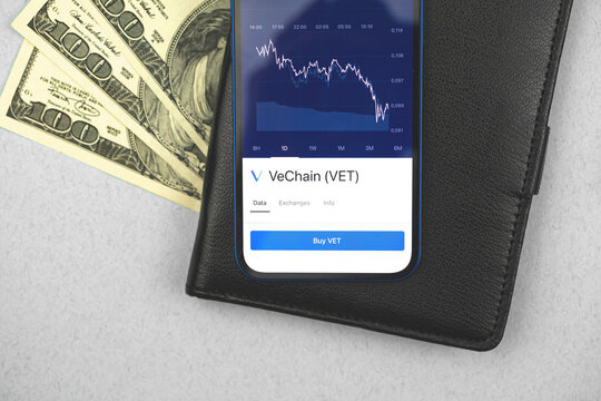 Trade with VeChain VET cryptocurrency, dogotal technology market exchange, business background, top view photo