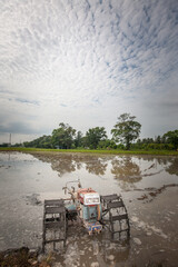 a view of the paddy field with power tiller