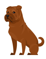 Fototapeta premium Sitting Shar Pei. Beautiful pet in cartoon style.