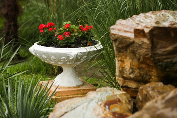 Light decorative flower pot with bright red flowers on a summer city street