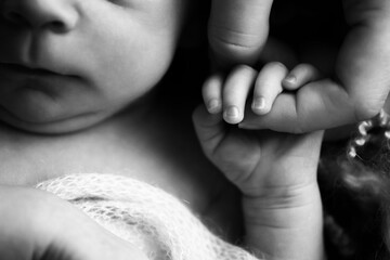 A newborn holds on to mom's, dad's finger. Hands of parents and baby close up. A child trusts and holds her tight. Black and white photo. 