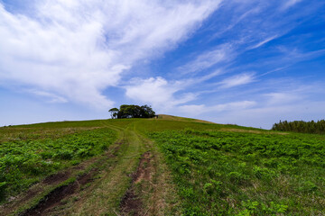 Fototapeta premium 五島列島 鬼岳
