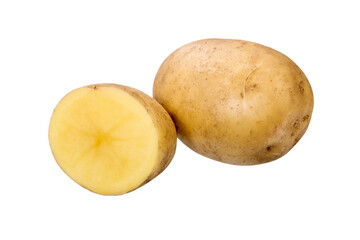 Raw potato on white background