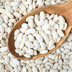 white beans in wooden spoon closeup