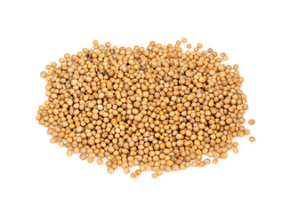pile of white mustard seeds closeup on white