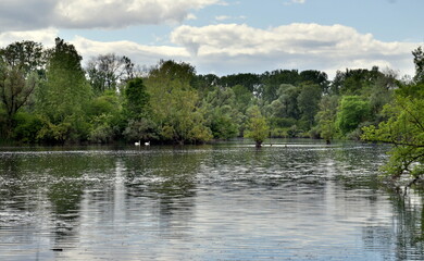 Naturschutzgebiet Taubergießen unter Wolken