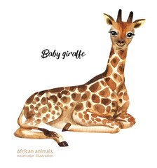 Watercolor illustration of African animals. Giraffe