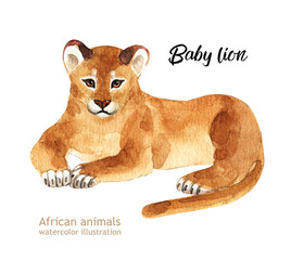Watercolor illustration. A little lion. Animals are africa.
