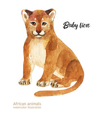 Watercolor illustration. A little lion. Animals are Africa.