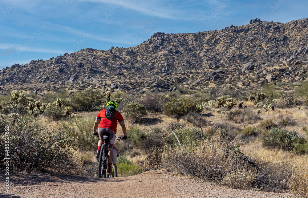 Wall mural Mountain Bikers Riding A Desert Trail In Arizona