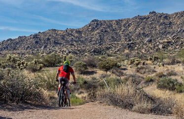 Obraz premium Mountain Bikers Riding A Desert Trail In Arizona