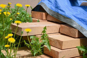 wooden planks lie in nature in dandelions under a blue canopy