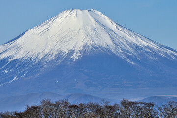 冬晴れの丹沢山地 塔ノ岳から望む富士山
