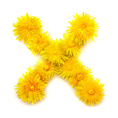 The letter X of yellow dandelions
